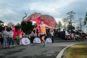 BIB: 
                            <button type="button" onclick="openModal(26529374)" class="btn btn-primary btn-sm float-right btn-popup" data-toggle="modal" data-target=".modal-high-quality">
                        <i class="fas fa-shopping-cart"></i> Add to Cart
                    </button>
                                            <button type="button" onclick="isThisMe(26529374, true)" class="btn btn-success btn-sm float-right btn-popup btn-isme hidden" data-toggle="tooltip" data-placement="bottom" title="นี่คือรูปของคุณใช่ไหม คลิกที่นี่เพื่อเอาเข้าอัลบั้ม">
                        <i class="fas fa-plus"></i> Add to album
                    </button>
                    <button type="button" onclick="isThisMe(26529374, false)" class="btn btn-warning btn-sm float-right btn-popup btn-isnotme hidden">
                        <i class="fas fa-ban"></i> Remove from album
                    </button>